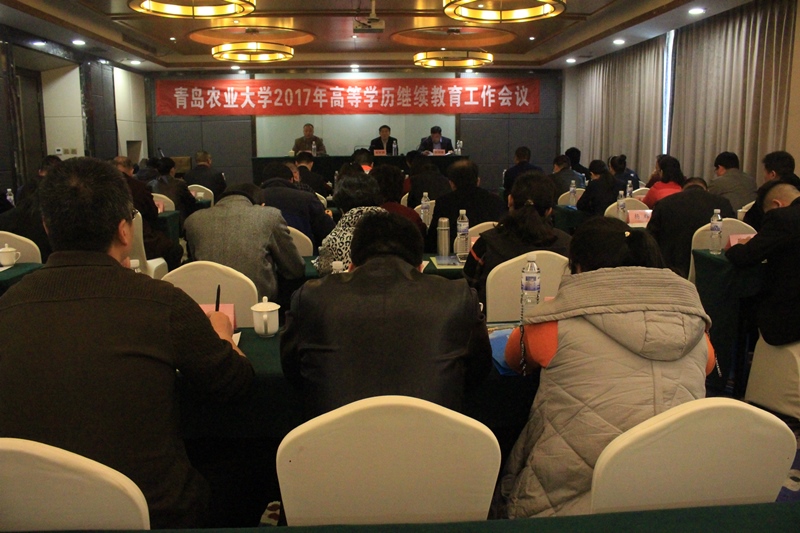 东营翰林职业技术培训学校，培养新时代人才的摇篮