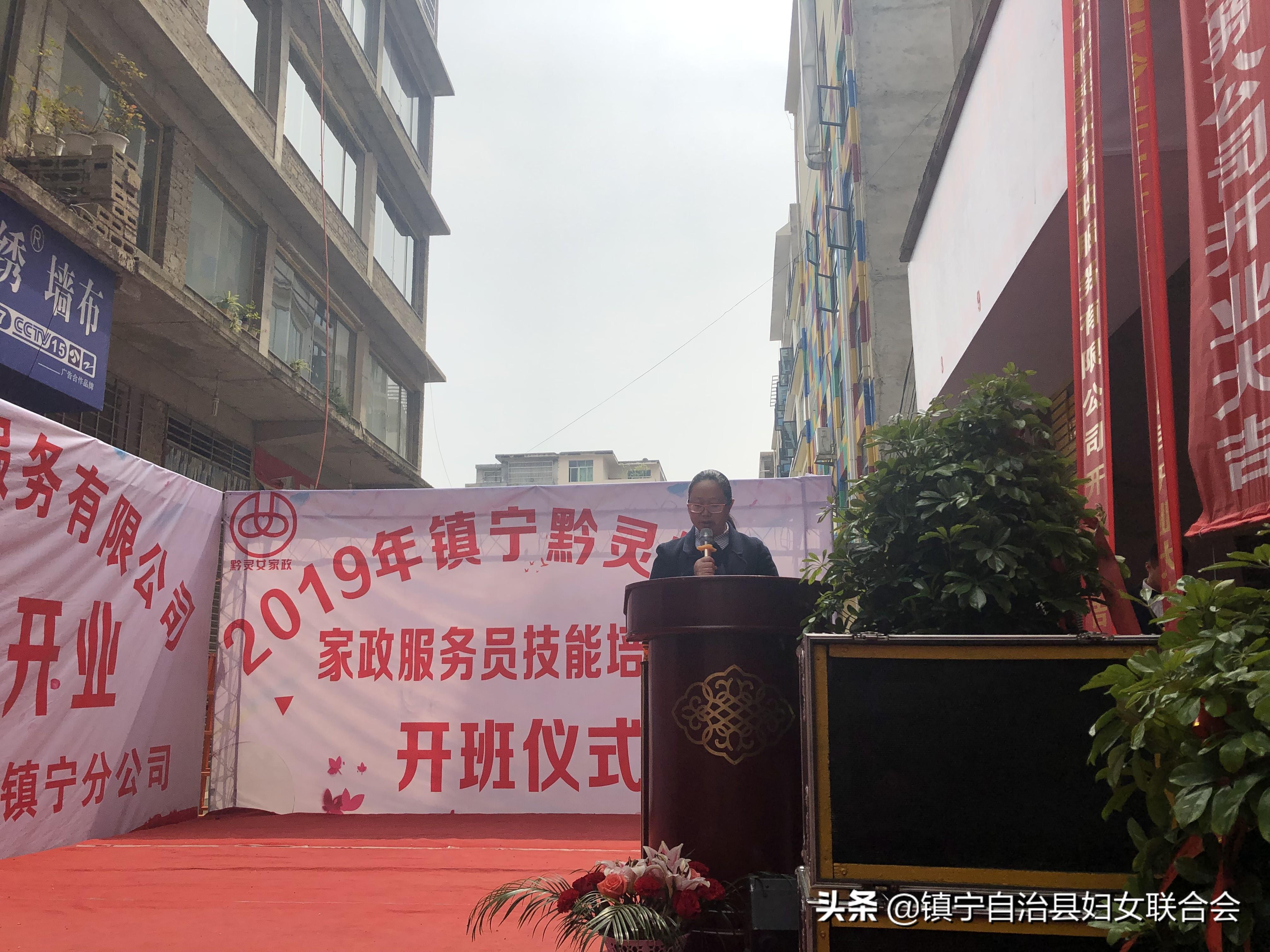 镇宁职业技术培训学校，培养新时代技术人才的摇篮