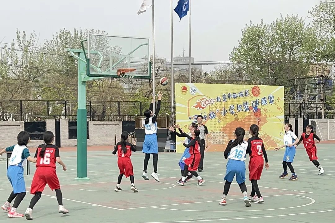 热烈庆祝2023年濠江区中博杯中小学生篮球赛圆满闭幕——运动精神与友谊的盛事