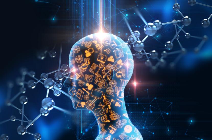 职业技术培训学校利润探索与解析指南
