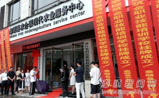 职业技术培训学校上市，探索、机遇与挑战