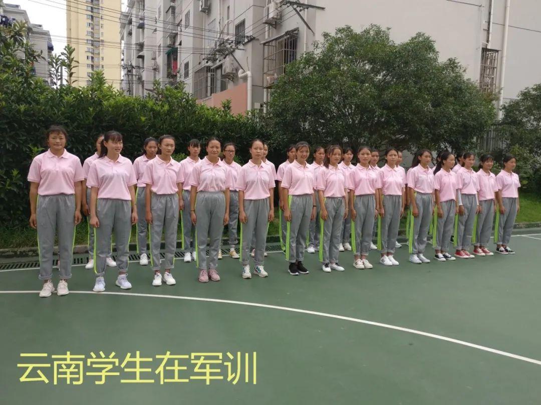 文山职业技术培训学校，新时代技能人才的培育摇篮
