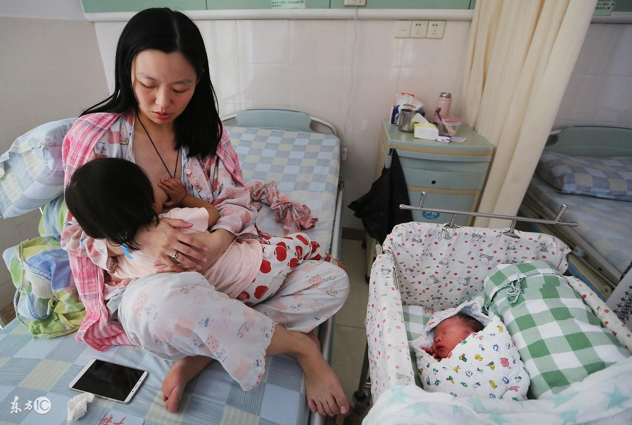 博友职业技术培训学校，新时代人才的摇篮培育地