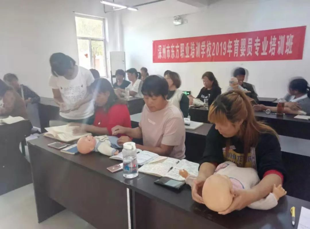 东芭职业技术培训学校，新时代人才的摇篮培育地