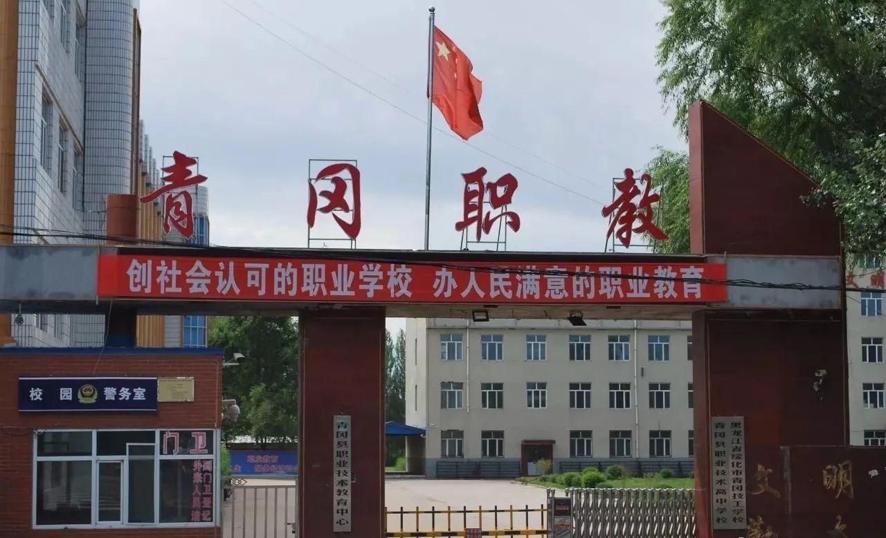 青冈县职业技术培训学校，培养新时代技术人才的摇篮
