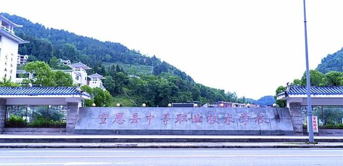 宣恩职业技术培训学校，新时代人才的摇篮之地