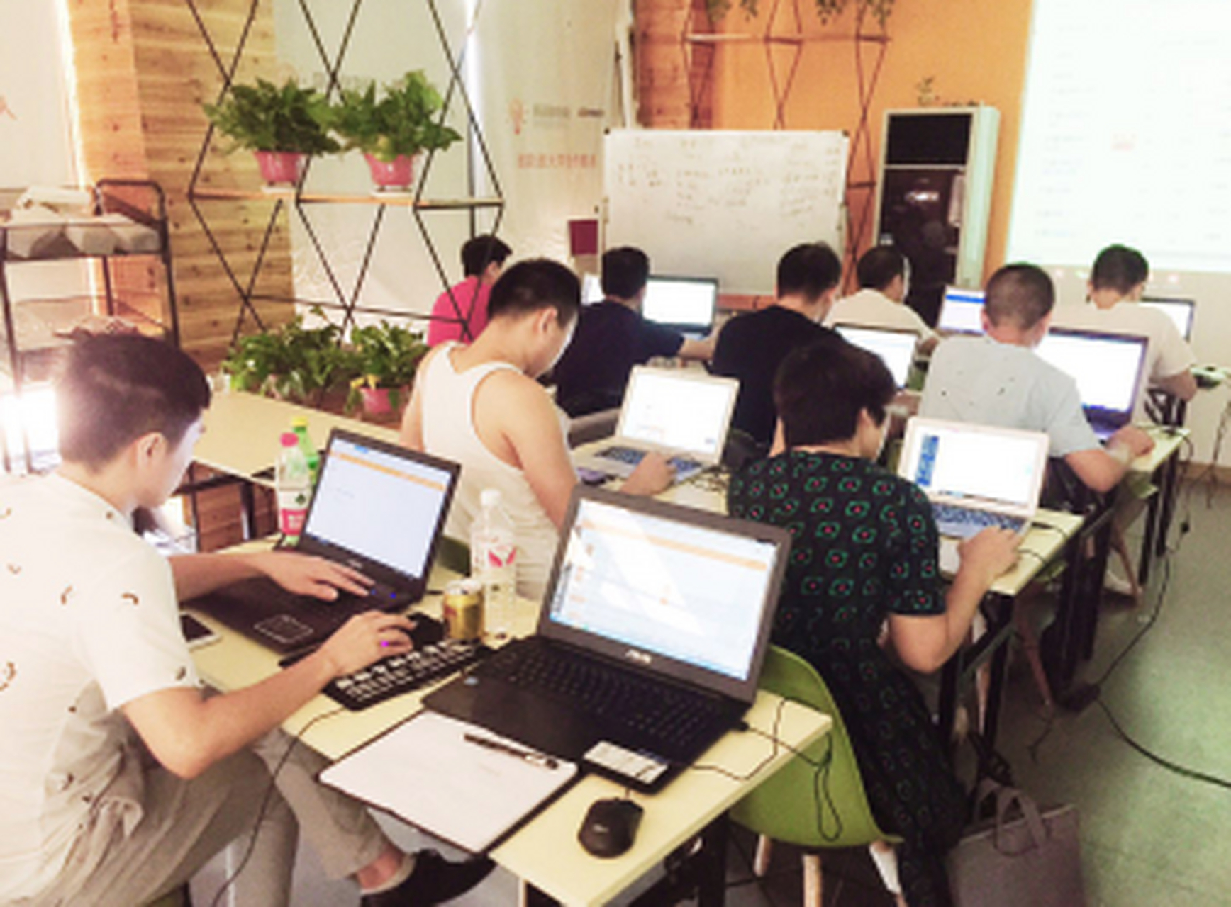 新浪职业技术培训学校，培养新时代人才的摇篮