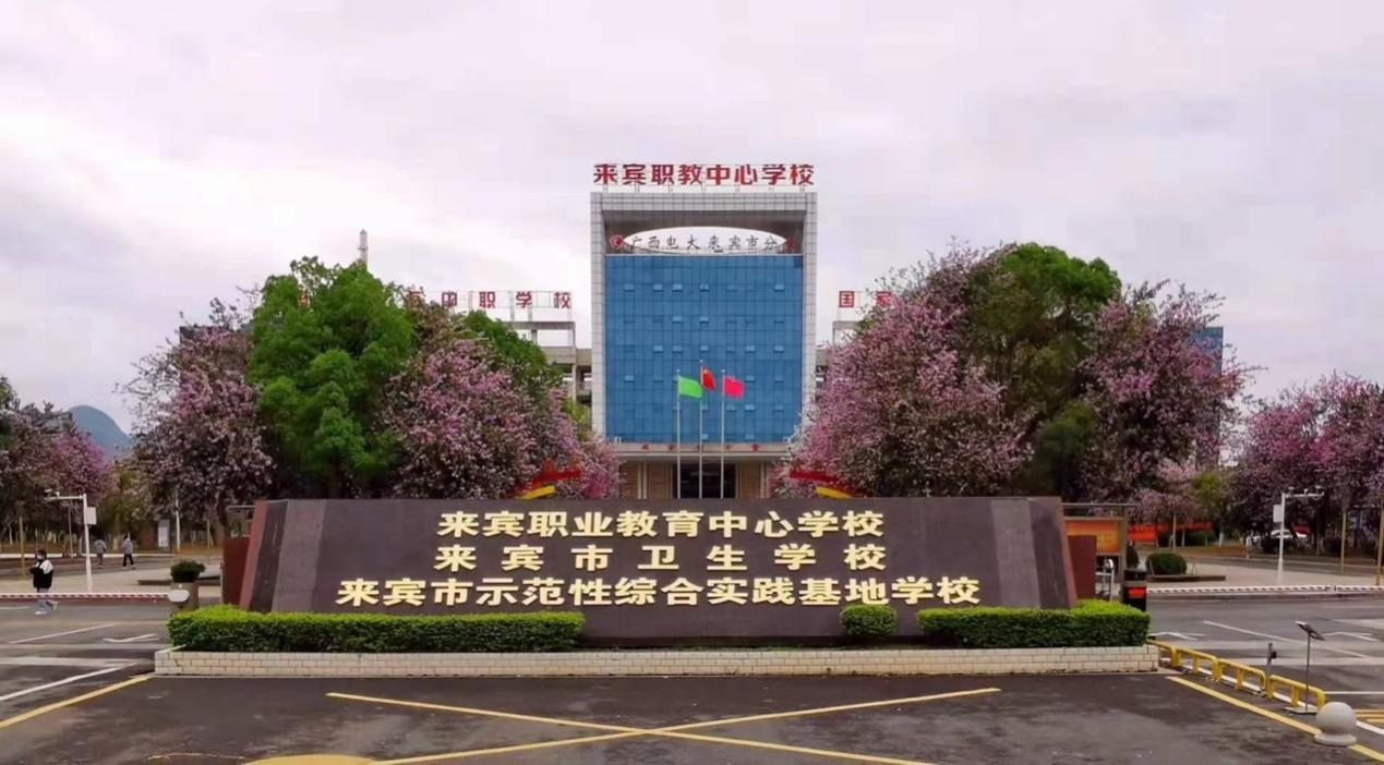 来宾职业技术培训学校，培养新时代人才的摇篮