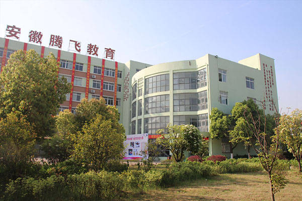 腾飞职业技术培训学校，人才培育的摇篮