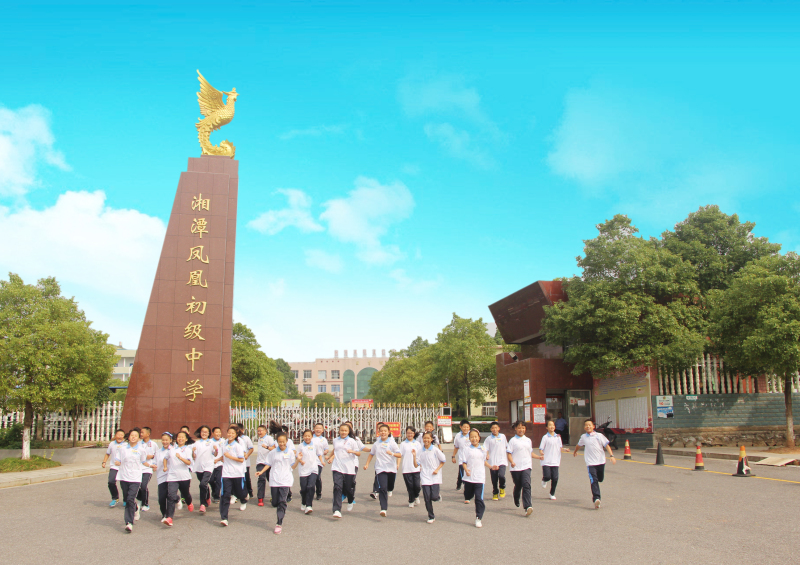 凤凰职业技术培训学校，培育技能的摇篮