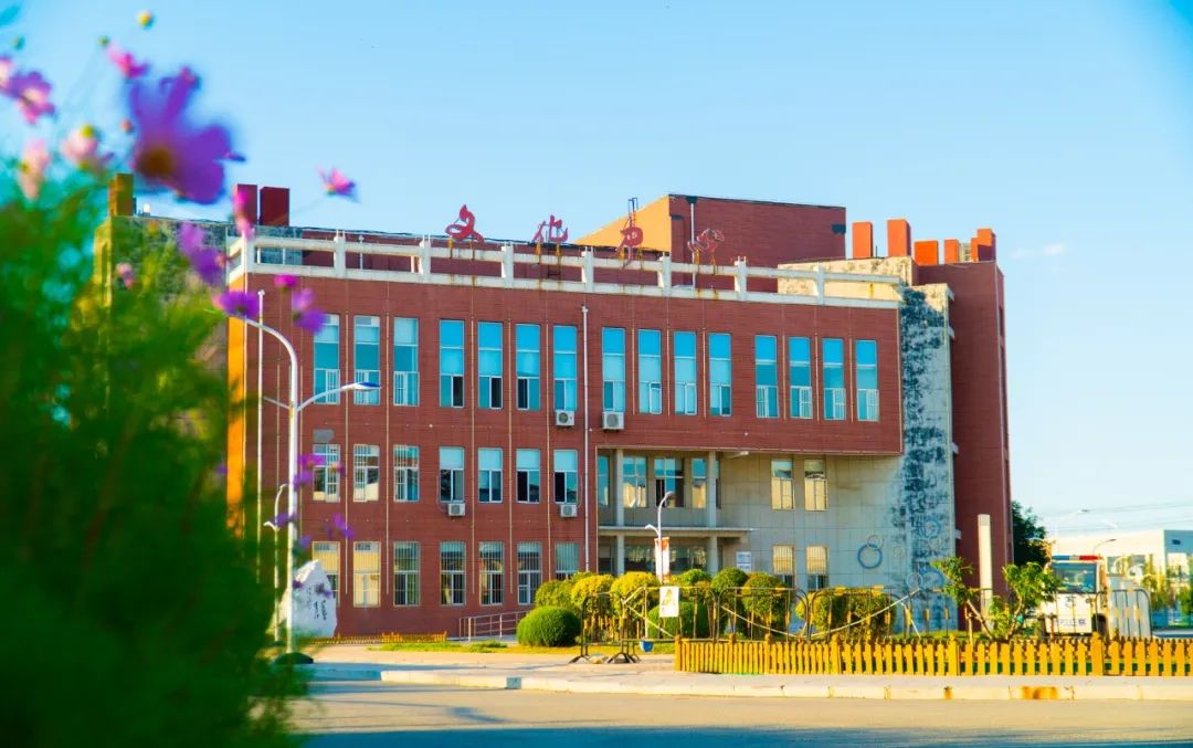 盘锦职业技术培训学校，新时代人才的摇篮培育地