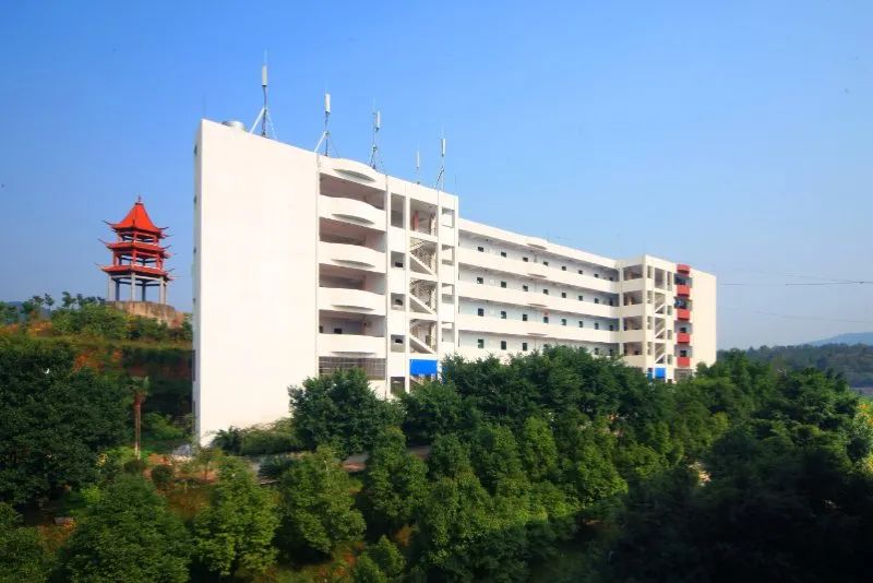 射洪职业技术培训学校，新时代技术人才的培育摇篮
