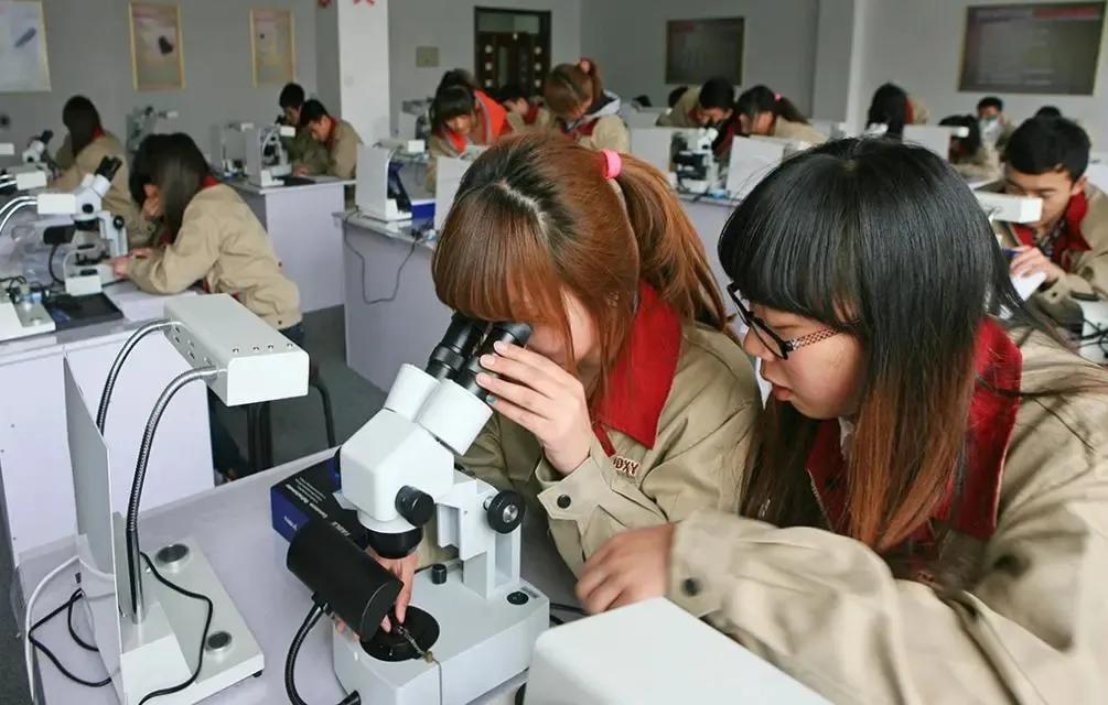黄海职业技术培训学校，培养新时代人才的摇篮
