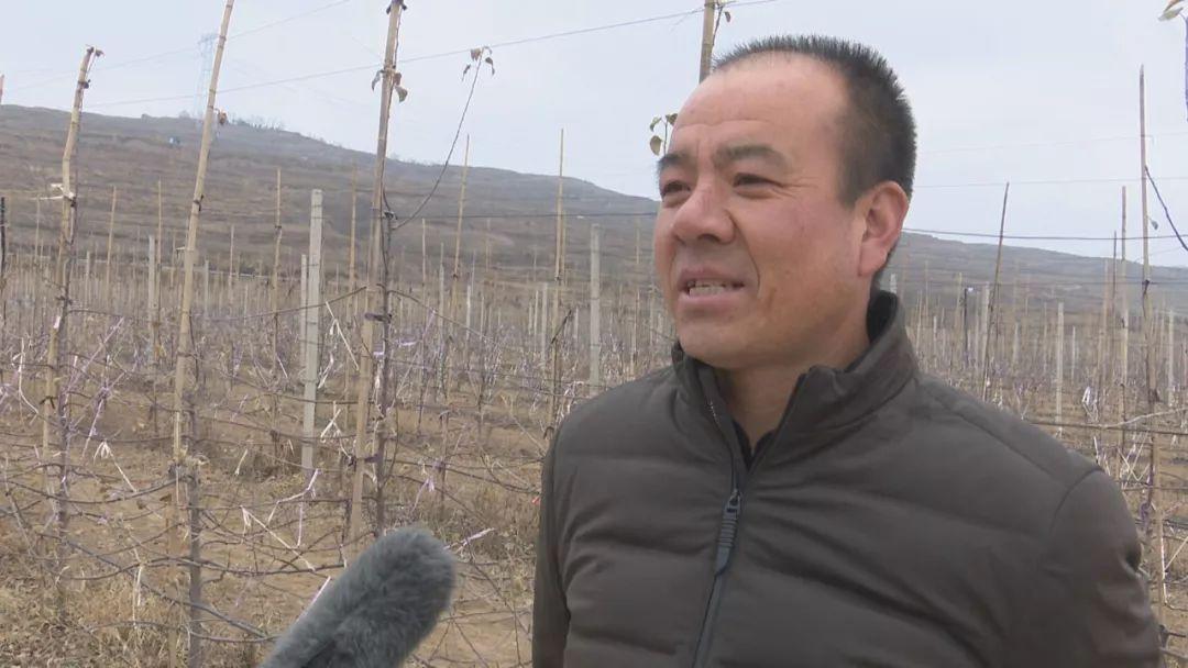 永兴职业技术培训学校，新时代技能人才的摇篮之路