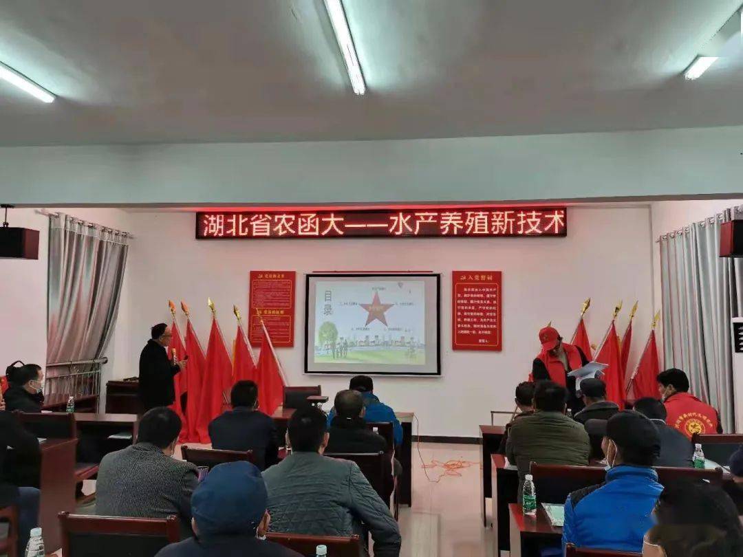 洪湖职业技术培训学校，培养新时代人才的摇篮