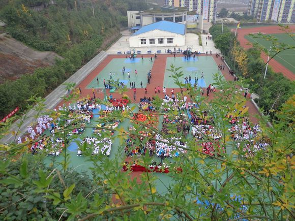 开县职业技术培训学校，培养新时代人才的摇篮