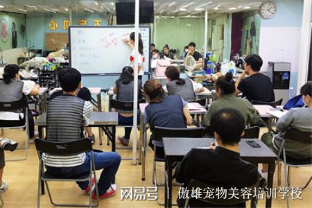宠物职业技术培训学校，培育专业宠物人才的摇篮之地