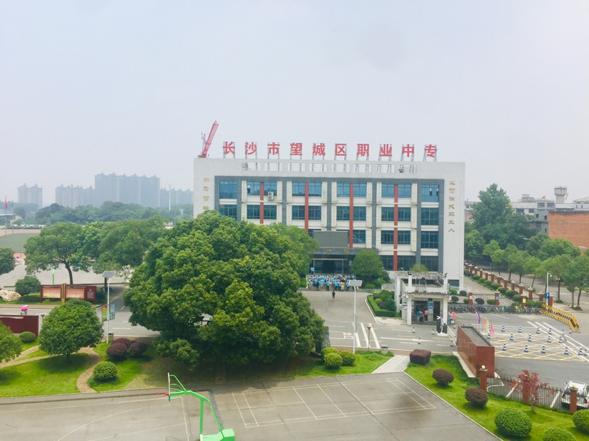 望城职业技术培训学校，培养新时代技术人才的摇篮
