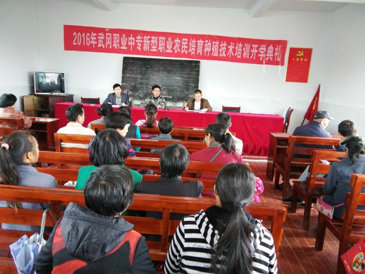 武冈职业技术培训学校，培养新时代技术人才的摇篮