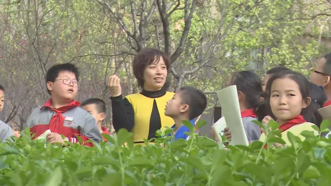 孝义职业技术培训学校，培养新时代技术人才的摇篮