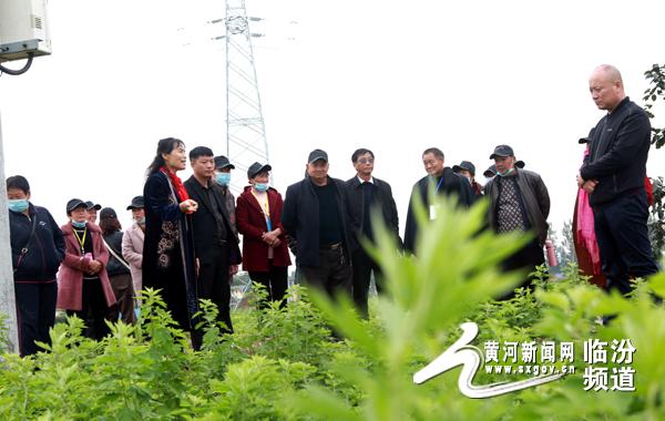 洪洞职业技术培训学校，新时代技能人才的摇篮