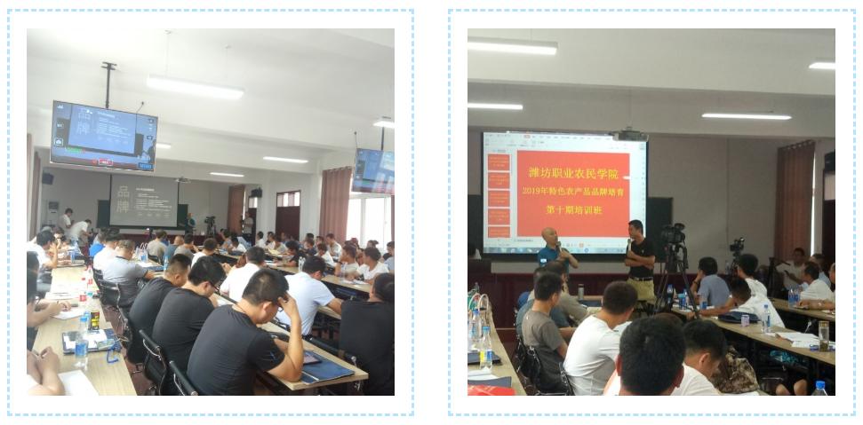 昌乐职业技术培训学校，培养新时代人才的摇篮