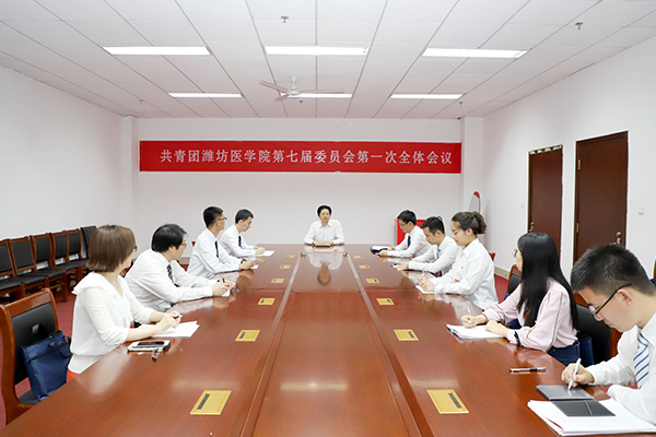 我校与共青团上海市委开展校地合作——携手共筑青年成长成才之路
